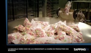 La nouvelle vidéo choc de l’association L214 remontant la chaîne de production des bonbons