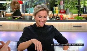Stéphane Guillon parle de Vincent Bolloré dans "C à vous" sur France 5