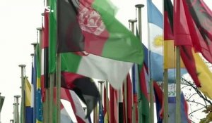 L'Unesco crée la polémique avec deux projets de résolutions sur la Palestine