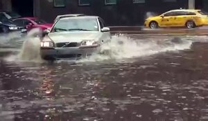 Un automobiliste sauve un chaton d'une route inondée