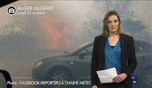 Alger : chaleur extrême et incendies