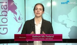 Kathryn McFarland, Les groupes miniers internationaux