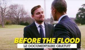 Le documentaire écolo de Leonardo DiCaprio gratuit pendant une semaine !