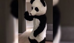 Patrice Evra danse déguisé en... Panda !!
