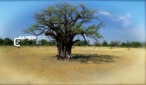 Bande annonce : Echappées belles - Botswana intense et sauvage (28/01)