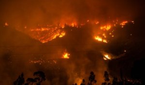 Le Chili face au pire «désastre forestier» de son histoire