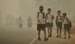 Pollution : 300 millions d'enfants respirent de l'air toxique - Unicef