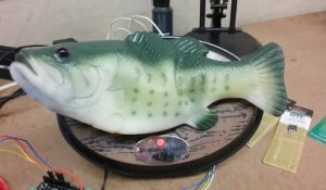 Alexa dans un poisson jouet