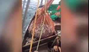 Bateau de pêche russe trouve énorme surprise dans leur filet