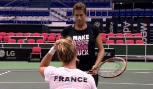 Fed Cup - Mauresmo, clap de fin ?