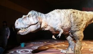 Robot T-Rex en taille réelle ! Impressionnant