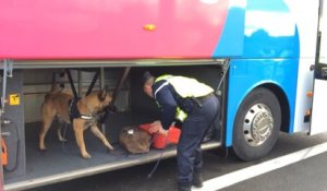 Les gendarmes contrôlent les bus low-cost