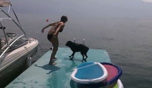 Le saut de ce chien dans l'eau est trop drôle