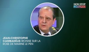 Jean-Christophe Cambadélis ironise sur le nouveau logo de Marine Le Pen, copié sur la rose socialiste