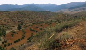 Maroc : développement rural et création de coopératives