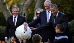 Obama makes final Thanksgiving turkey pardon
