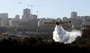 Israel's wildfires spread as homes and woods in Haifa are burnt down