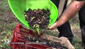 Olives : l'Argoudeil, une huile d'exception