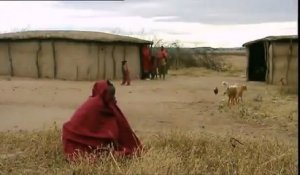 Une journee en brousse - Kenya - Maasai Mara - extrait