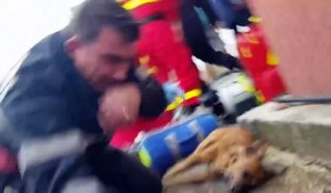 Un pompier roumain fait du bouche à bouche à un chien et lui sauve la vie
