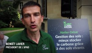 Le sol, pilier de la production agricole