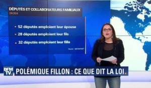 Affaire Penelope Fillon: ce que dit la loi sur les emplois dits "familiaux"
