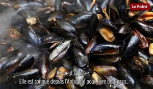 Le biomimétisme selon Idriss Aberkane #1 : La moule