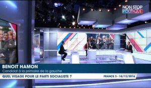 Primaire à gauche : Benoît Hamon souhaite incarner "le visage de la gauche pour les dix ans à venir"