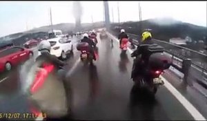 Cinq motards protègent un chien égaré sur l’autoroute...