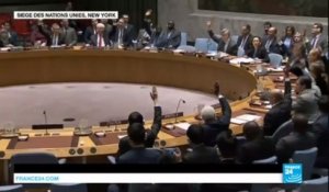 BATAILLE D'ALEP - Le Conseil de sécurité des Nations unies adopte à l'unanimité l'envoi d'observateurs