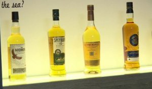 Ecosse: les producteurs de whisky profitent des effets du Brexit