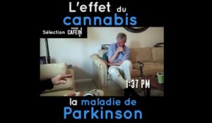 L'effet du cannabis sur la maladie de Parkinson !