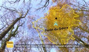 Pausez-vous : balade dans la Forêt du Gâvre