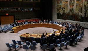 L'ONU dit oui au plan russo-turque pour la paix en Syrie