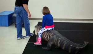 Une petite fille fait du cheval sur un alligator !