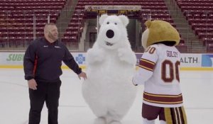 Un ours chute à plusieurs reprises sur une patinoire