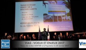 VIAS - VOEUX et ENJEUX 2017