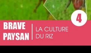 Brave paysan / La culture du Riz (2e partie)