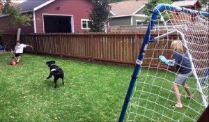 Quand un chien marque un but contre son camp