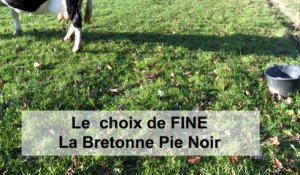 Le choix de Fine, la Bretonne Pie Noir  - Cédric Briand
