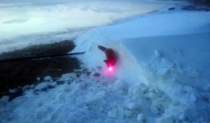 Un renard chasse un laser !