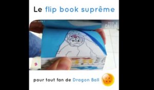 Le flip book suprême pour tout fan de Dragon Ball