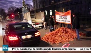 Les buralistes en colère déversent des carottes devant la préfecture