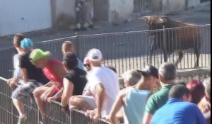 En Espagne, un taureau défonce farouchement un 4x4 rempli de gens en pleine rue