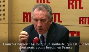 Bayrou s'allie pour que "les grandes entreprises ne se payent des politiques pour rédiger les lois"