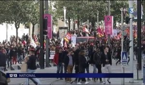 Incidents à Nantes en marge d'une manifestation anti-Marine Le Pen