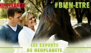 [Les experts] Comment maîtriser nos émotions grâce aux chevaux