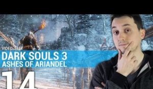 Dark Souls III Ashes of Ariandel - TEST de jeuxvideo.com
