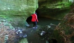 Grâce à ce timelapse, découvrez les grottes de vers bioluminescents de Waitomo en Nouvelle-Zélande