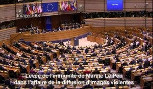 Levée de l'immunité de Marine Le Pen dans une affaire